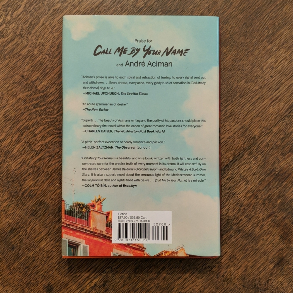 Find Me sequel to CMBYN - Picture 3 of 6